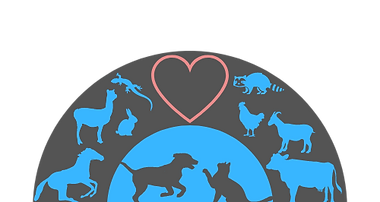 Animals Encyclopedia